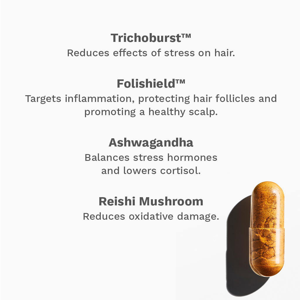 NEW_INGREDIENTS_-_ADVANCED